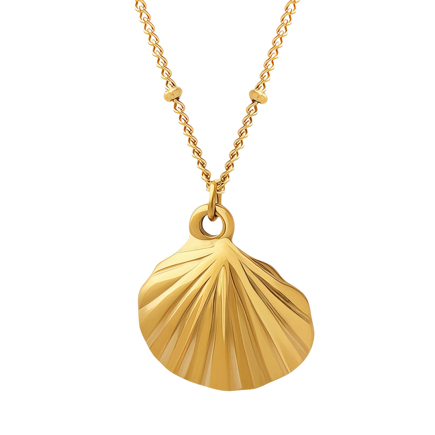 Shell Necklace