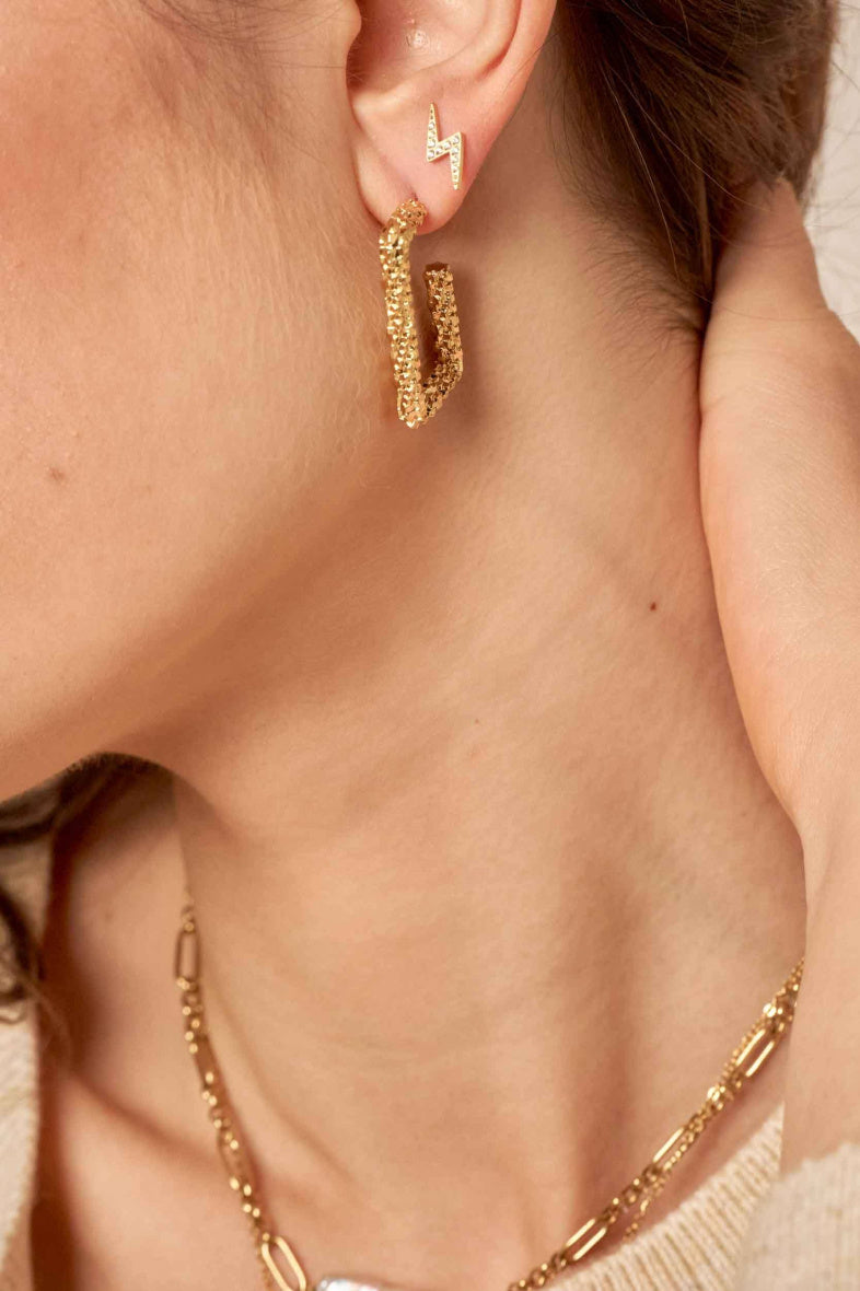 Dolla Hoop Earrings