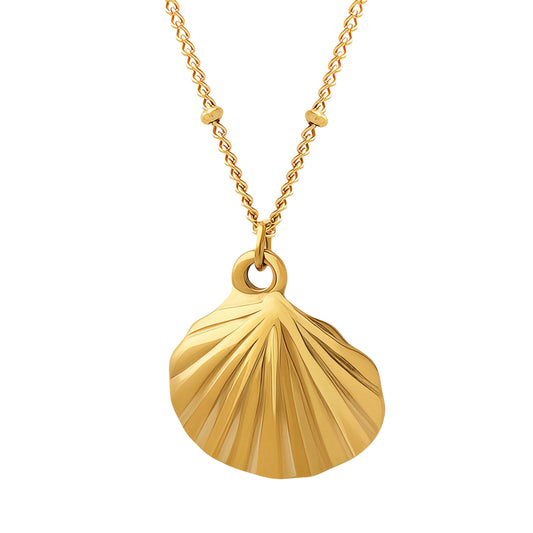 Shell Necklace